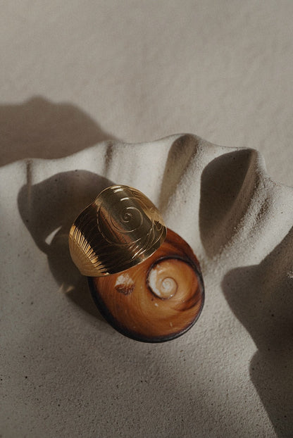 Intuition - la bague